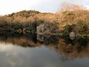 いつもの北山池