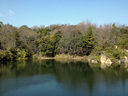 さざ波立つ北山池