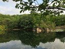 今朝も北山池はきれいだったが...