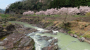 恐竜の化石発見地近くの川代公園の吊り橋から