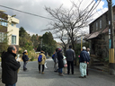 桜の街路樹の観察会