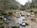 仁川河原にて