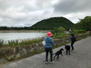 雨上がりの北山ダムへ