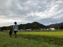 これぞ日本の里山の風景