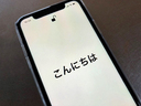 iPhone 11はデカいな