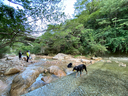 気持ちの良い川遊び