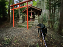 杉林に囲まれた神社