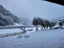 目覚めたらこの通り 車も雪にすっぽり