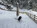 雪の中でちょっとだけ遊んでみる