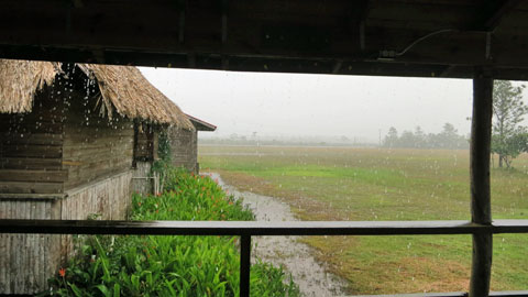 豪雨…