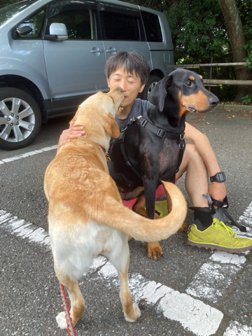 お別れの挨拶 お別れの挨拶