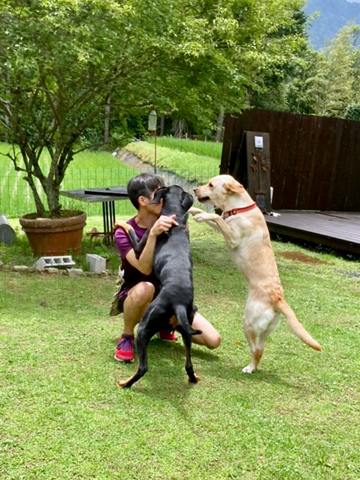 半分犬のおじさん 半分犬のおじさん