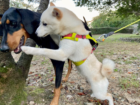 「ええ加減にして…」 「ええ加減にして…」