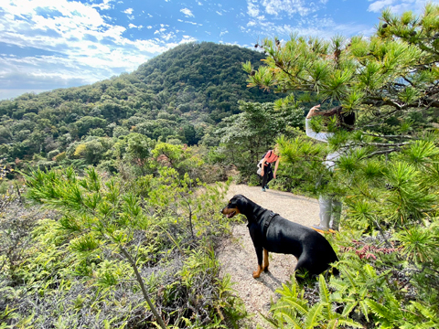 北側から見る甲山 北側から見る甲山