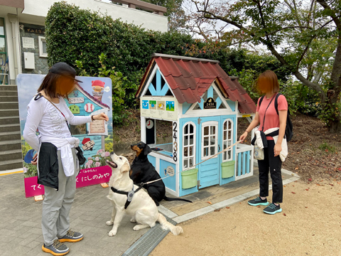 みやたんの家の前で みやたんの家の前で
