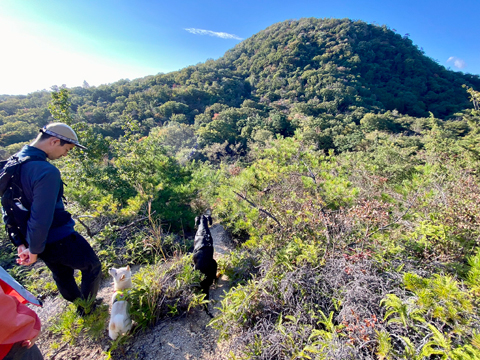 北から甲山を望む 北から甲山を望む