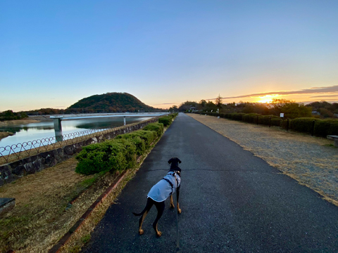 陽の出とともに歩く 陽の出とともに歩く
