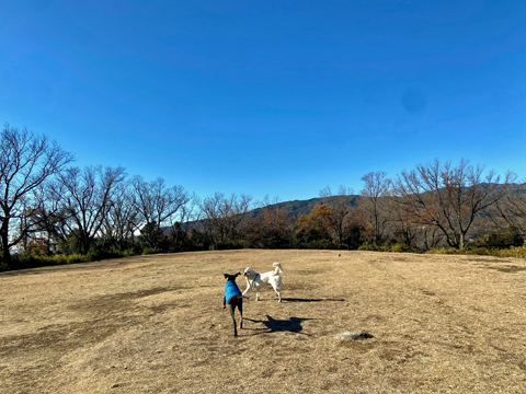 甲山頂で 甲山頂で