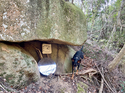 山中で謎の鏡を発見 山中で謎の鏡を発見