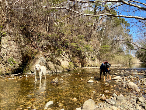 ムーと川 ムーと川