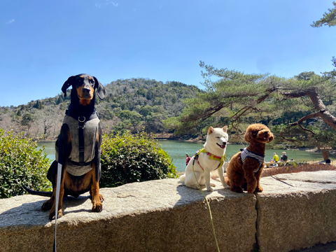 クルン&無垢と再度公園 クルン&無垢と再度公園