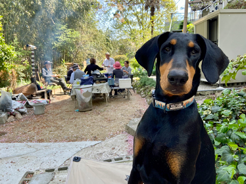 BBQパーティーにやってきた BBQパーティーにやってきた