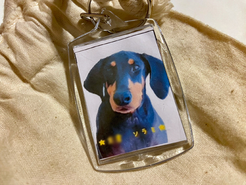 デイケアの方がバッグに付けてくれた写真入りネームタグ デイケアの方がバッグに付けてくれた写真入りネームタグ