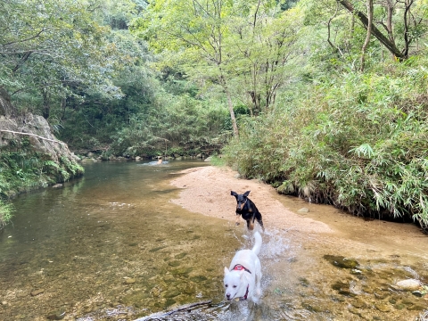 それぞれの川遊び それぞれの川遊び