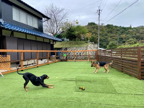 姉貴風を吹かせる空水 姉貴風を吹かせる空水