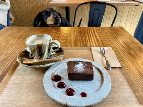 料理もスウィーツも美味 料理もスウィーツも美味