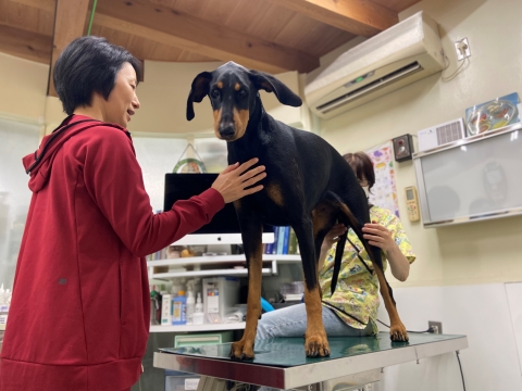 異常なし 異常なし