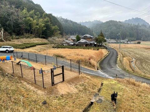 京丹波の朝を駆ける 京丹波の朝を駆ける