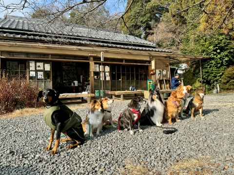集合写真に飛び入り 集合写真に飛び入り