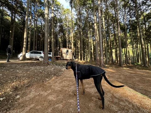 建築中の現場も見せてもらった 建築中の現場も見せてもらった