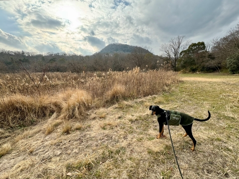 久しぶりの広河原 久しぶりの広河原