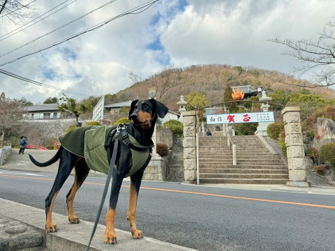山方面へ出発 山方面へ出発