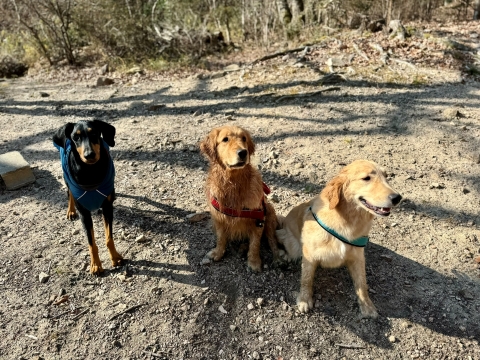 奇跡の3S 奇跡の3S