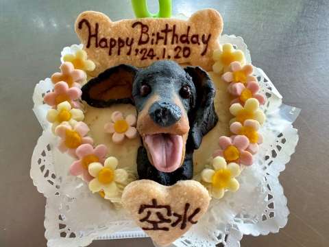 毎度芸術的な3Dケーキ 毎度芸術的な3Dケーキ
