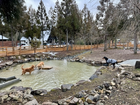 この気候でも池に入るナラ&ティナを呆然と見つめる空水 この気候でも池に入るナラ&ティナを呆然と見つめる空水