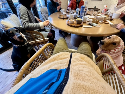 暖かいカフェで休憩 暖かいカフェで休憩