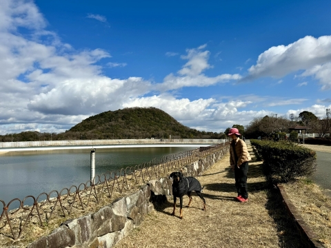 すこぶる元気 すこぶる元気