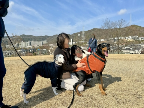 ドリー母に座る ドリー母に座る