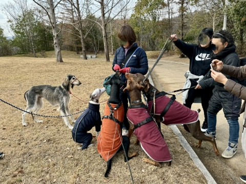 犬使いと化したラムセス母 犬使いと化したラムセス母