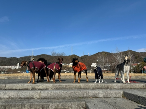 見晴らしの良い公園で 見晴らしの良い公園で