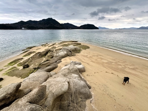 百島のだんご岩にて 百島のだんご岩にて