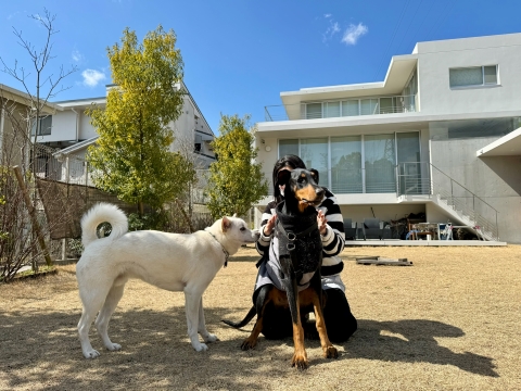 こたろうの庭で こたろうの庭で