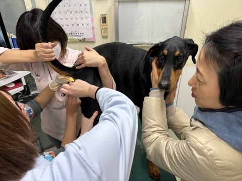 おとなしく治療を受けるのが偉い おとなしく治療を受けるのが偉い