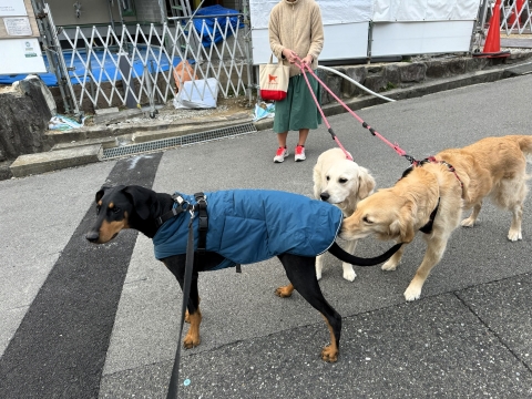 くうこ&アランと くうこ&アランと