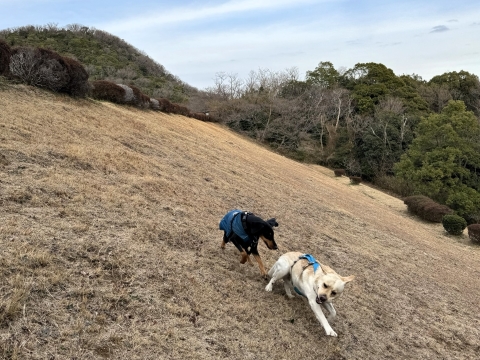 おそらく初めましてのぜんくんと おそらく初めましてのぜんくんと
