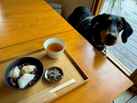 その後はオッキニでぜんざい その後はオッキニでぜんざい